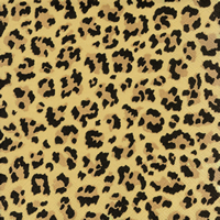 NP-AM05 33 x 33 cm Leopard