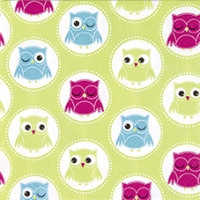 NP-AM16 Cute Owls