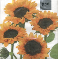 NP-NT01 Sunflower Soleil 33x 33cm