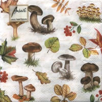 NP-NT04 33 x 33 cm AUTUMN RANGE