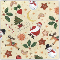 NP-X08 33 x 33cm xmas things cream